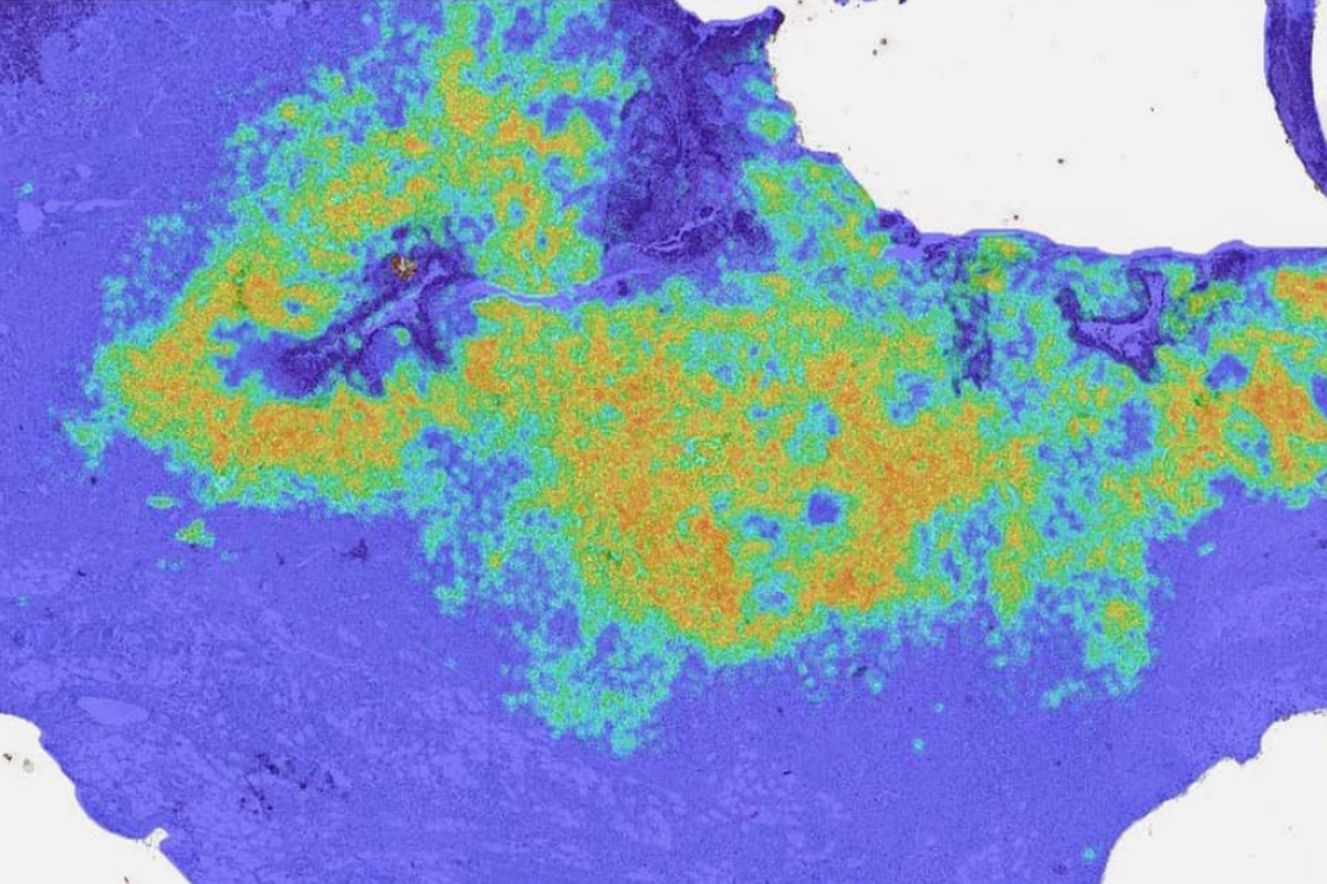 Density Heatmap of Selected Cell Populations