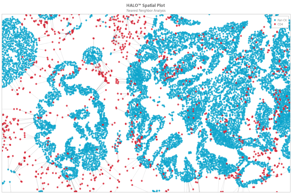 Nearest Neighbor Analysis Between Objects of Interest