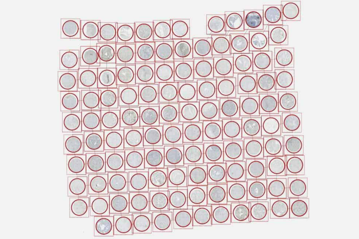 Block design of tissue microarray